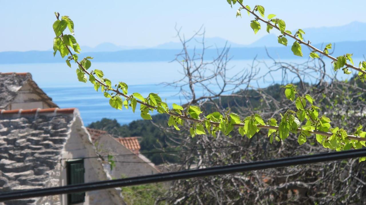 Guesthouse Ursic Selca  Dış mekan fotoğraf
